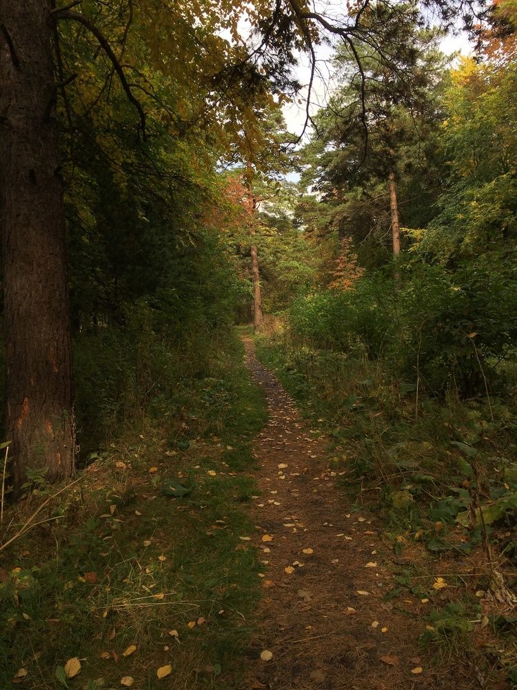 Autumn is the best artist!