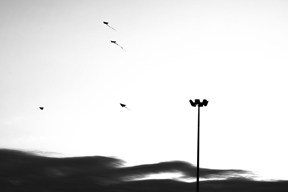free kite
