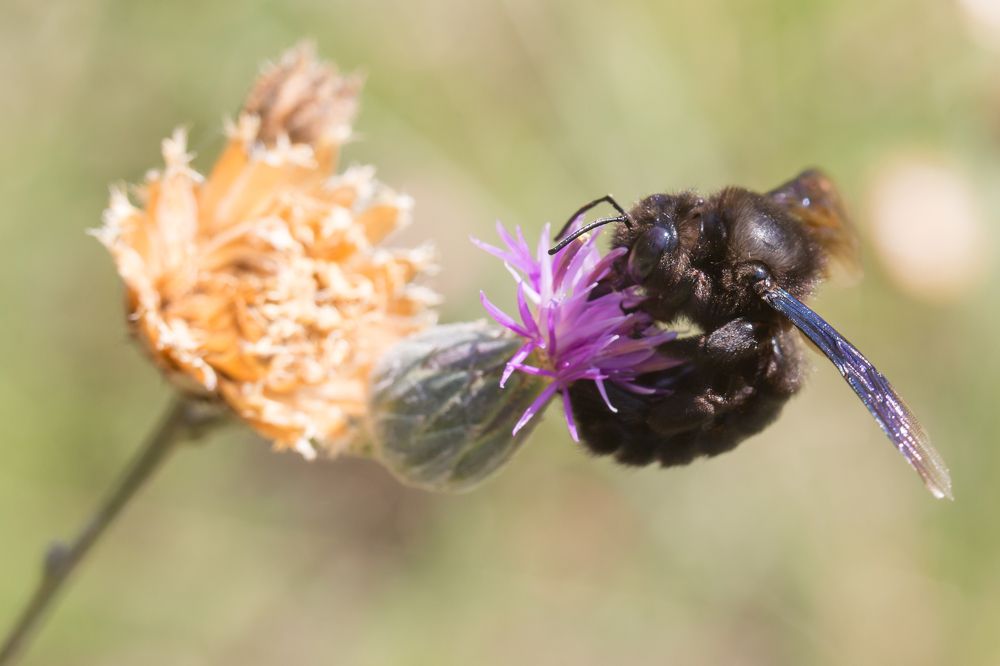 Что тут у нас?