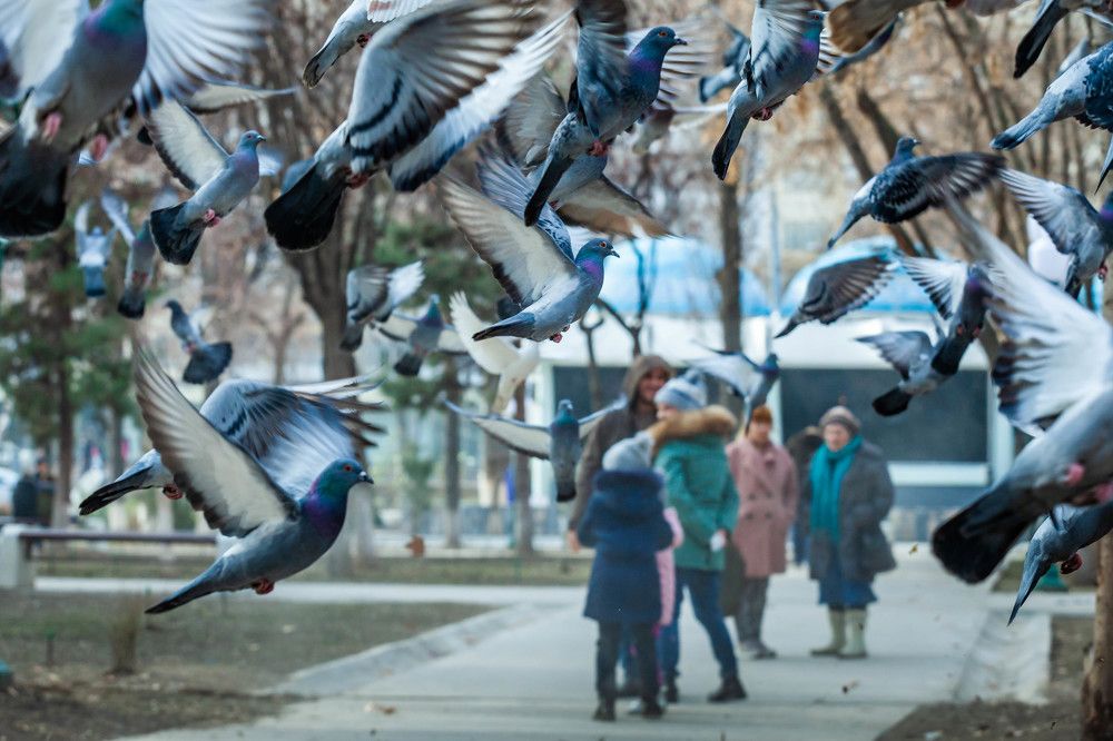 Photograph by Andrew Mikhaylov