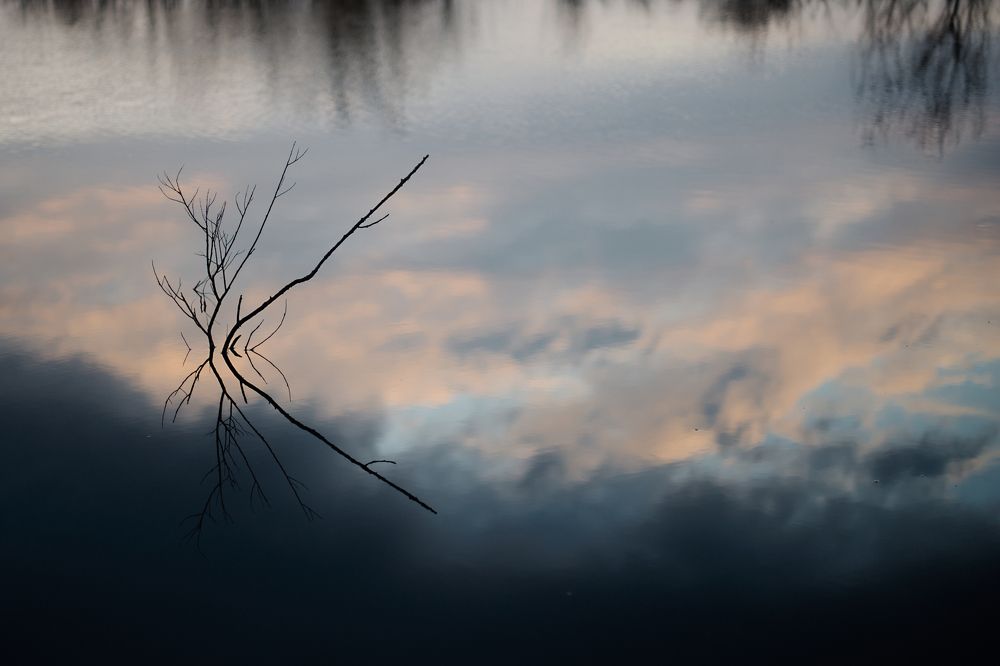 Photograph by Любовь Музычук