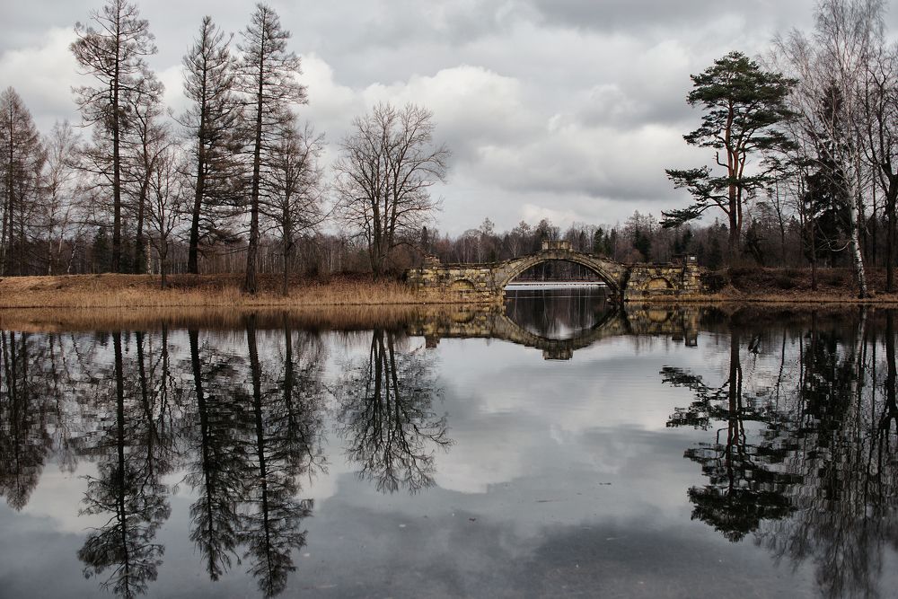 Photograph by Любовь Музычук