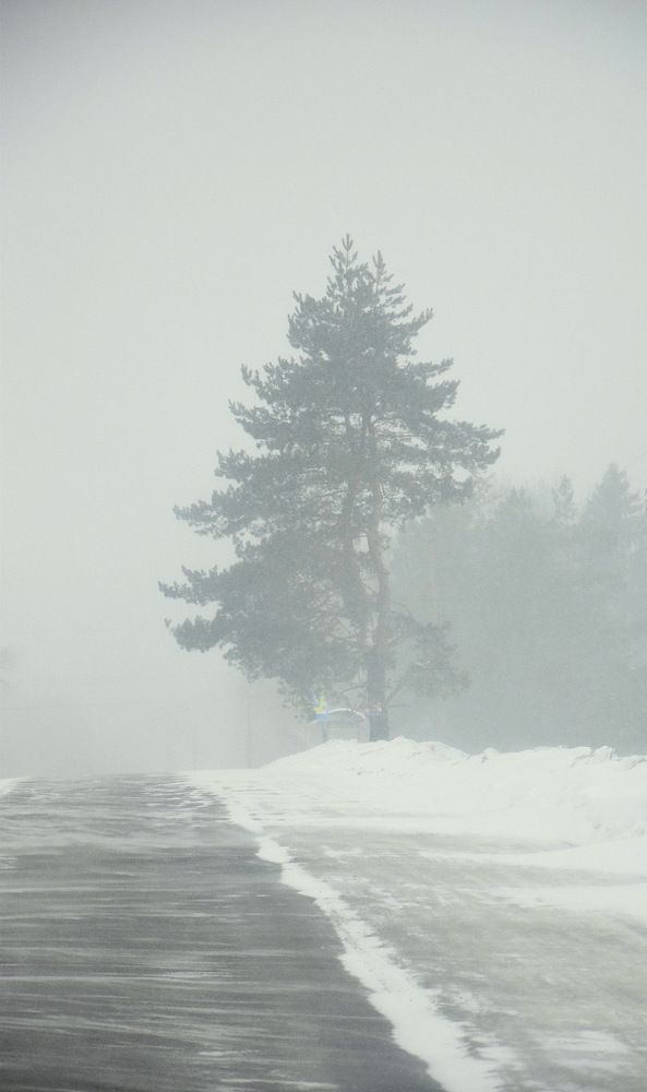 Фантасмагория в марте