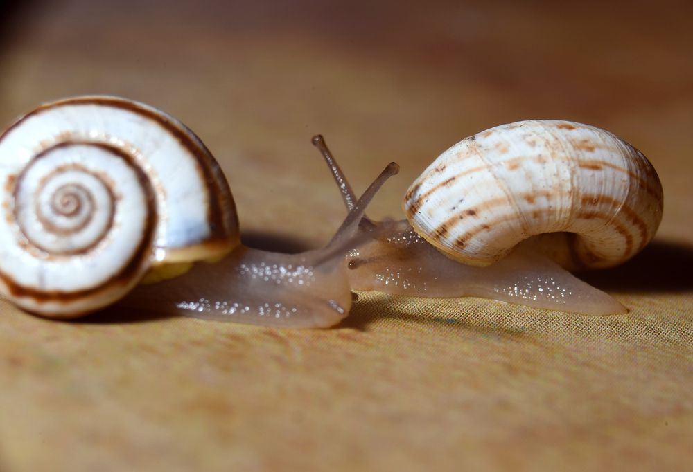 Любовь в маленьком мире