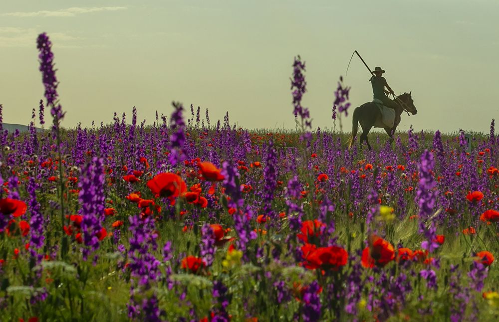 Angel of death while walking in paradise