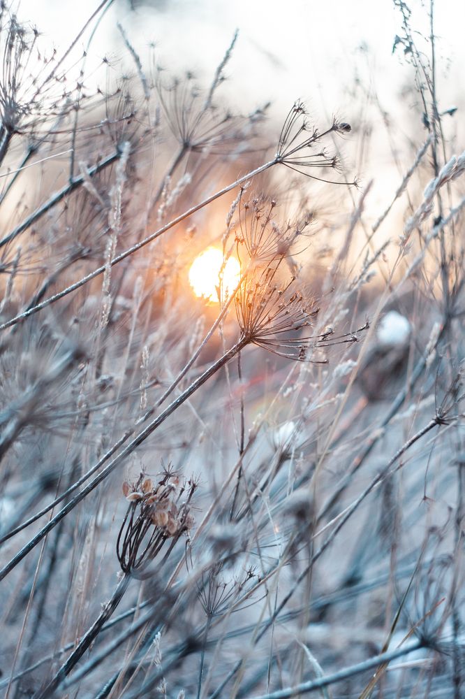 Цвета ноября