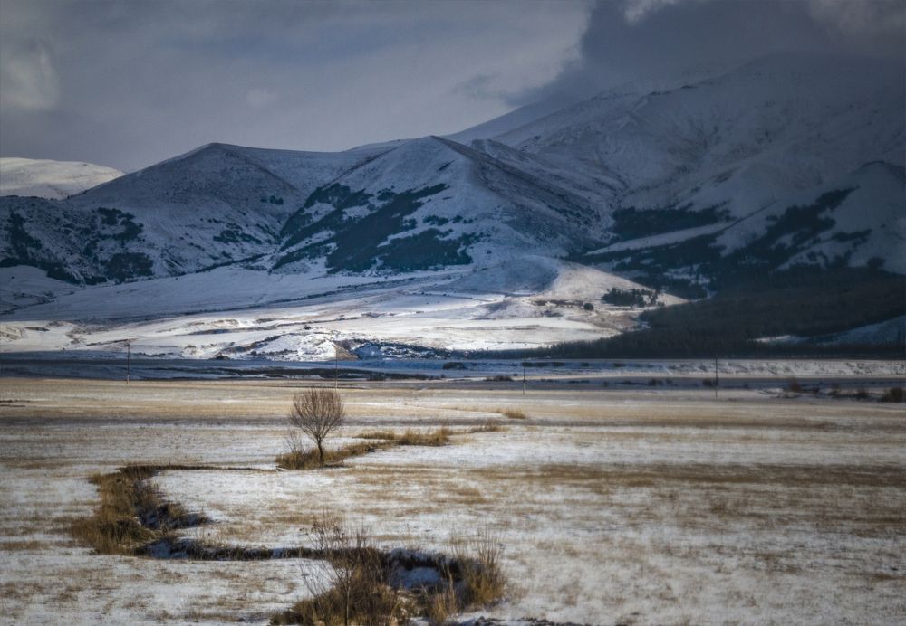 The sweet side of loneliness