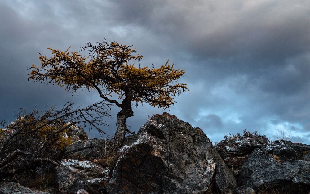 Предчувствие