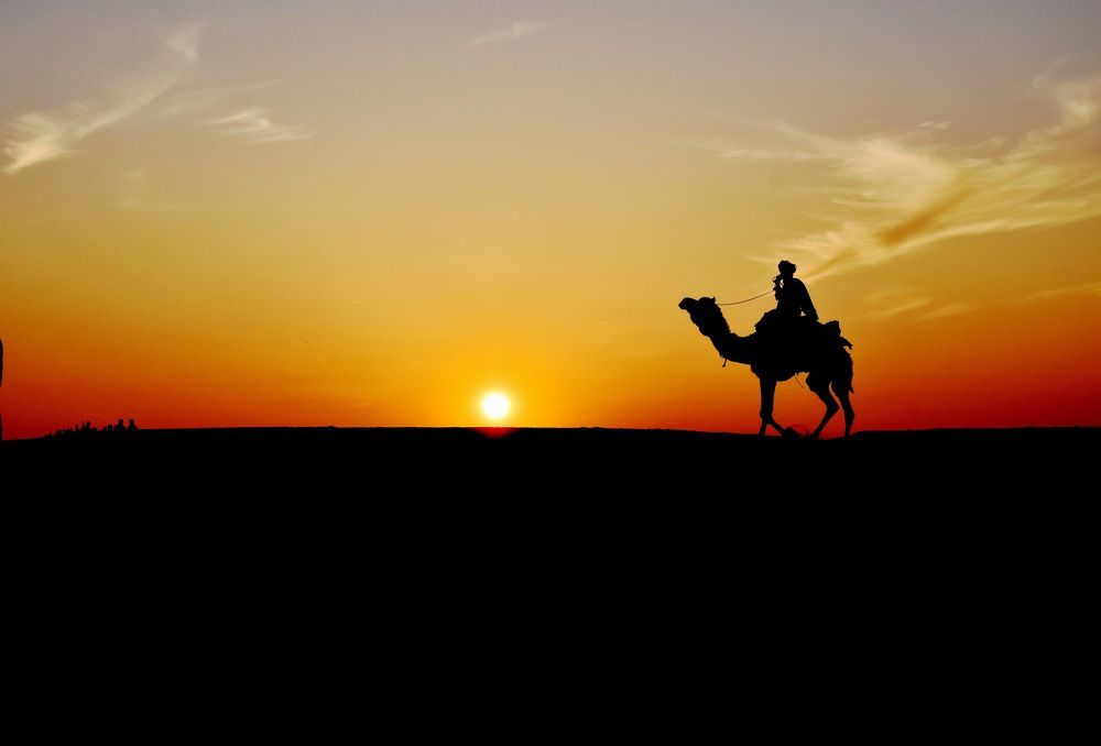 Desert safari
