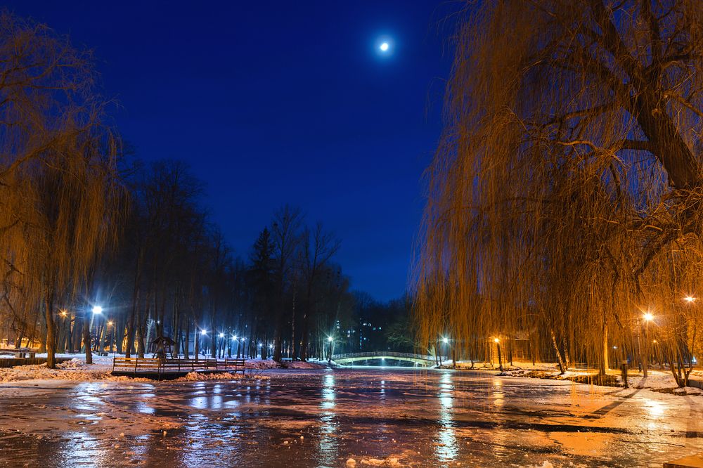 Зимняя лунная ночь