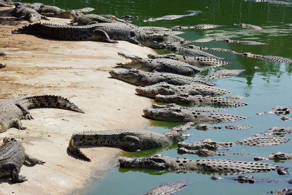 послеобеденное время