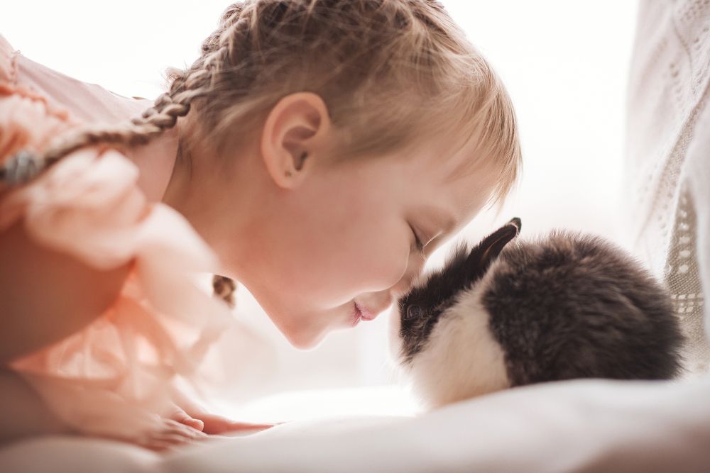 Маленький питомец