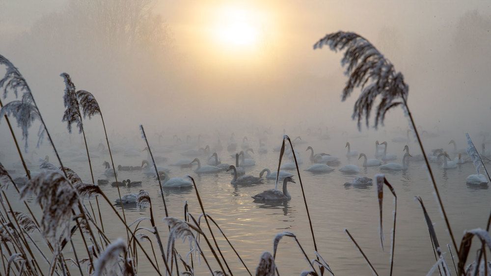 Январский холодный закат.