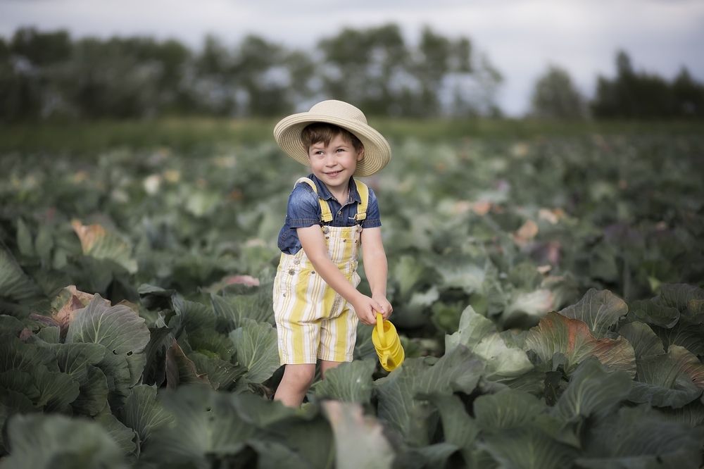 Маленький фермер