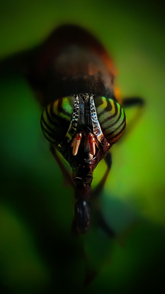 I got my eyes on you.