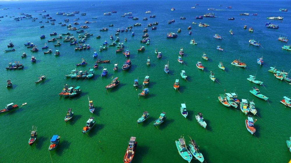 Boats