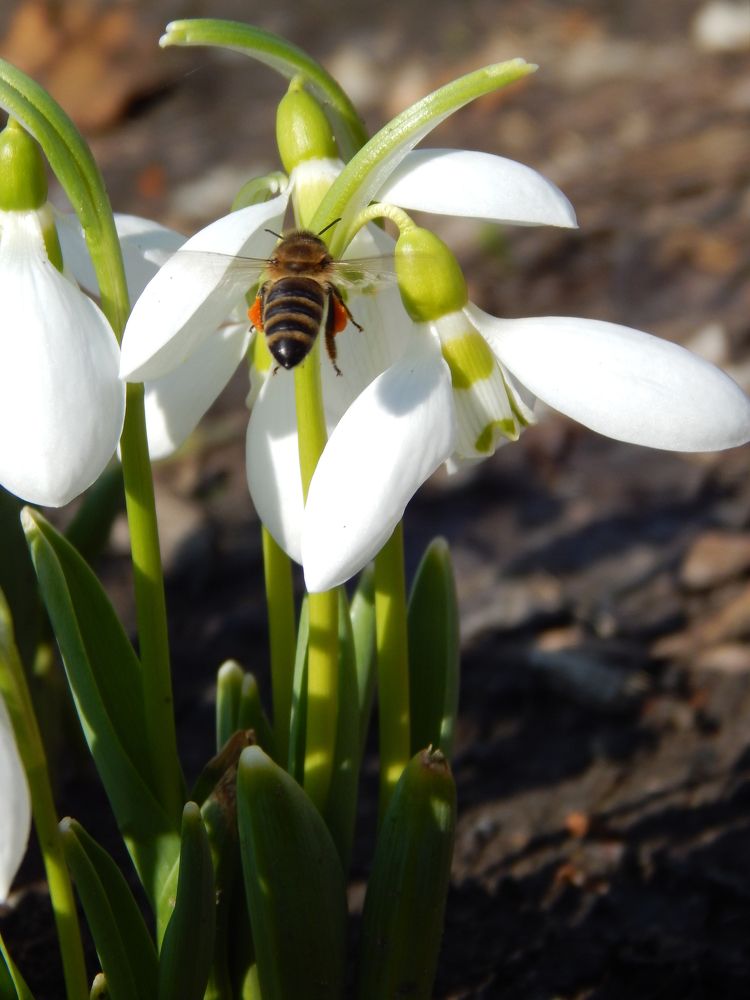 Photograph by Алена