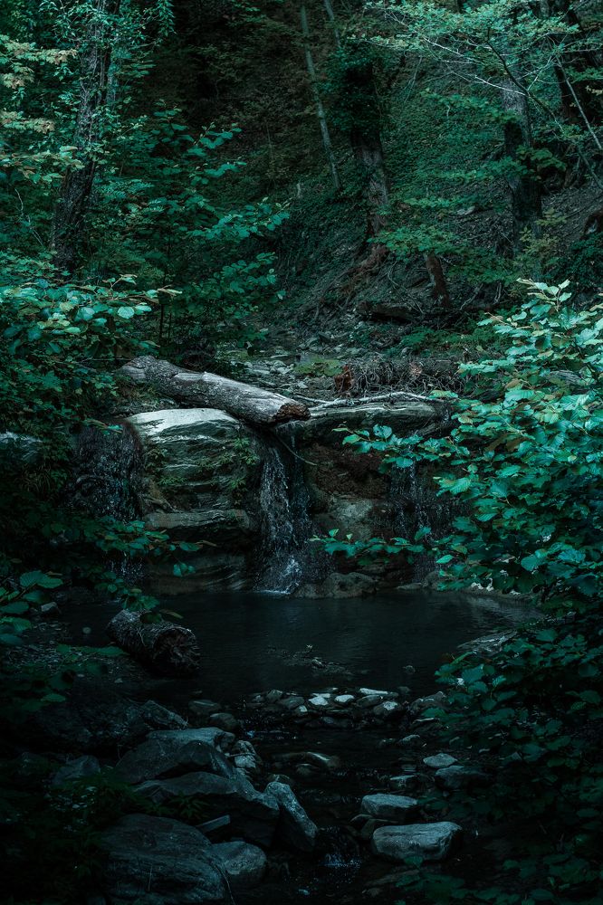 Photograph by Анастасия