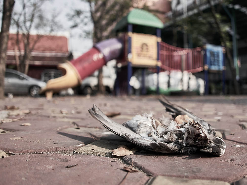 Photograph by Сергей Выплавин