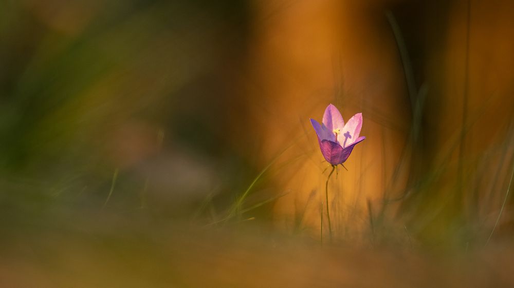 Photograph by Александр Иванов