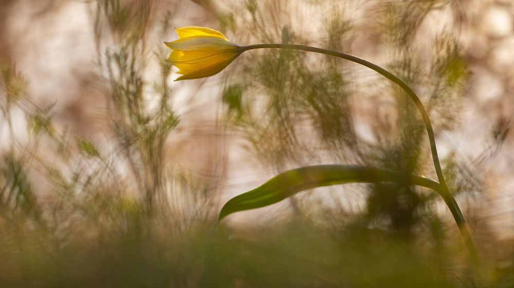 Photograph by Александр Иванов