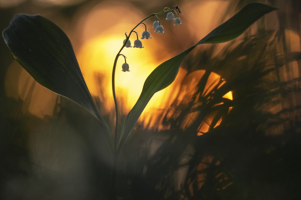 Photograph by Александр Иванов