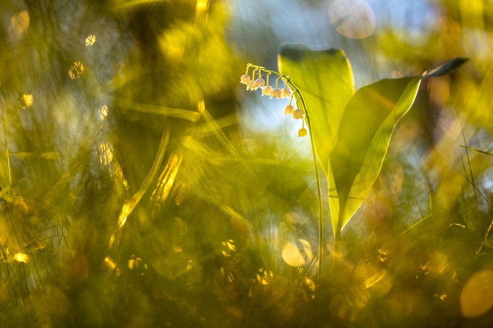 Photograph by Александр Иванов