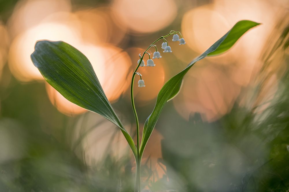 Photograph by Александр Иванов