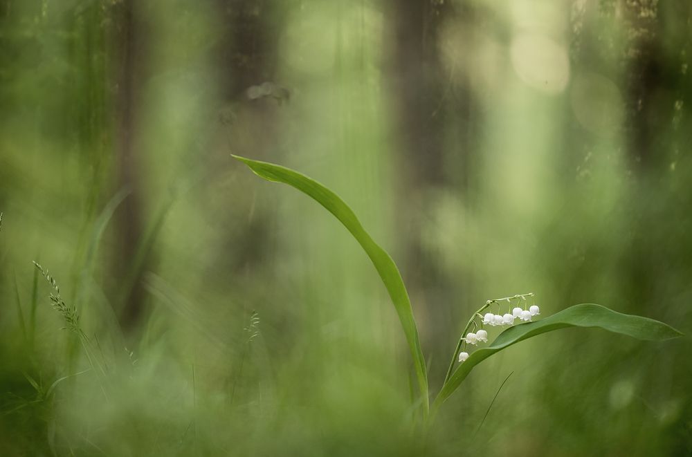 Photograph by Александр Иванов