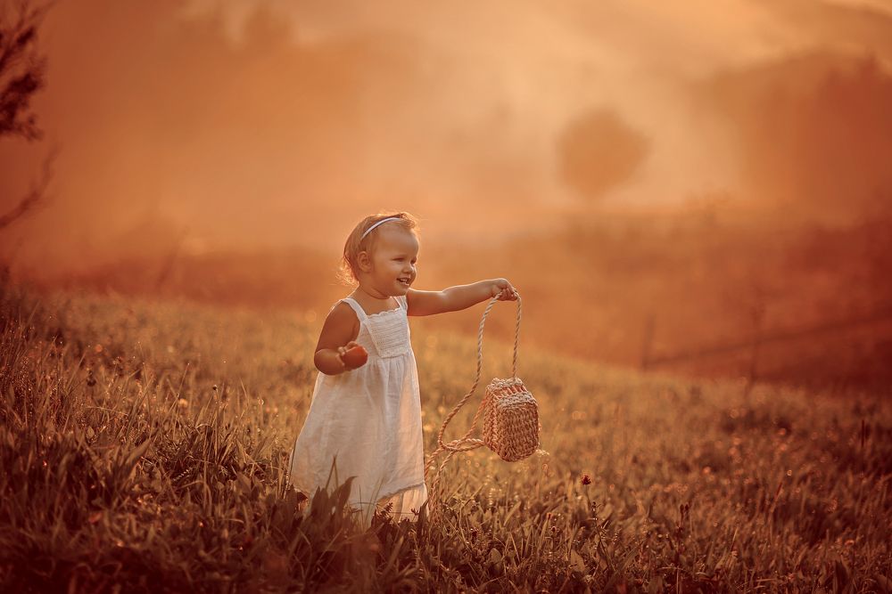 Туманный закат