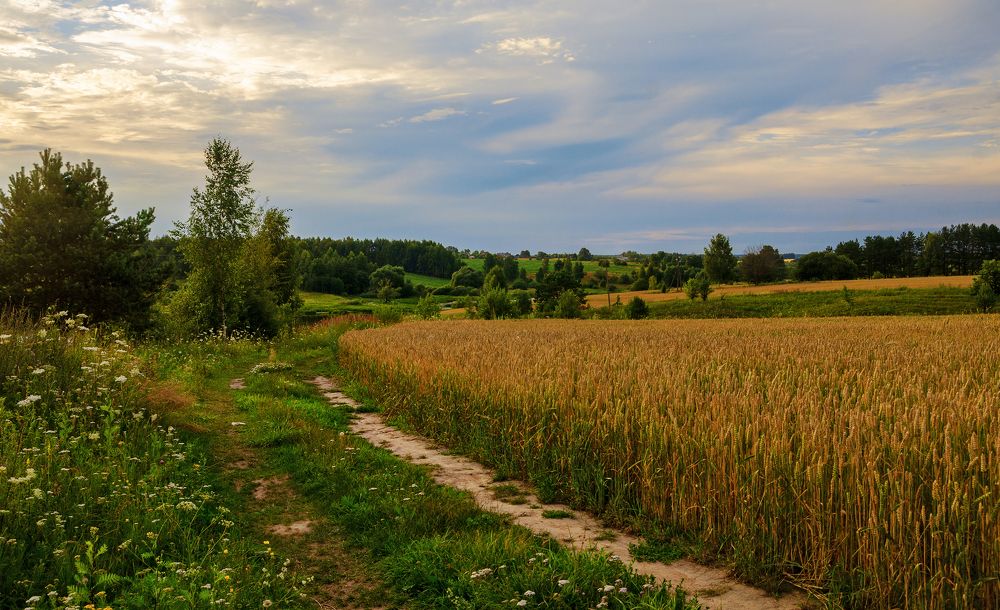 Родные просторы