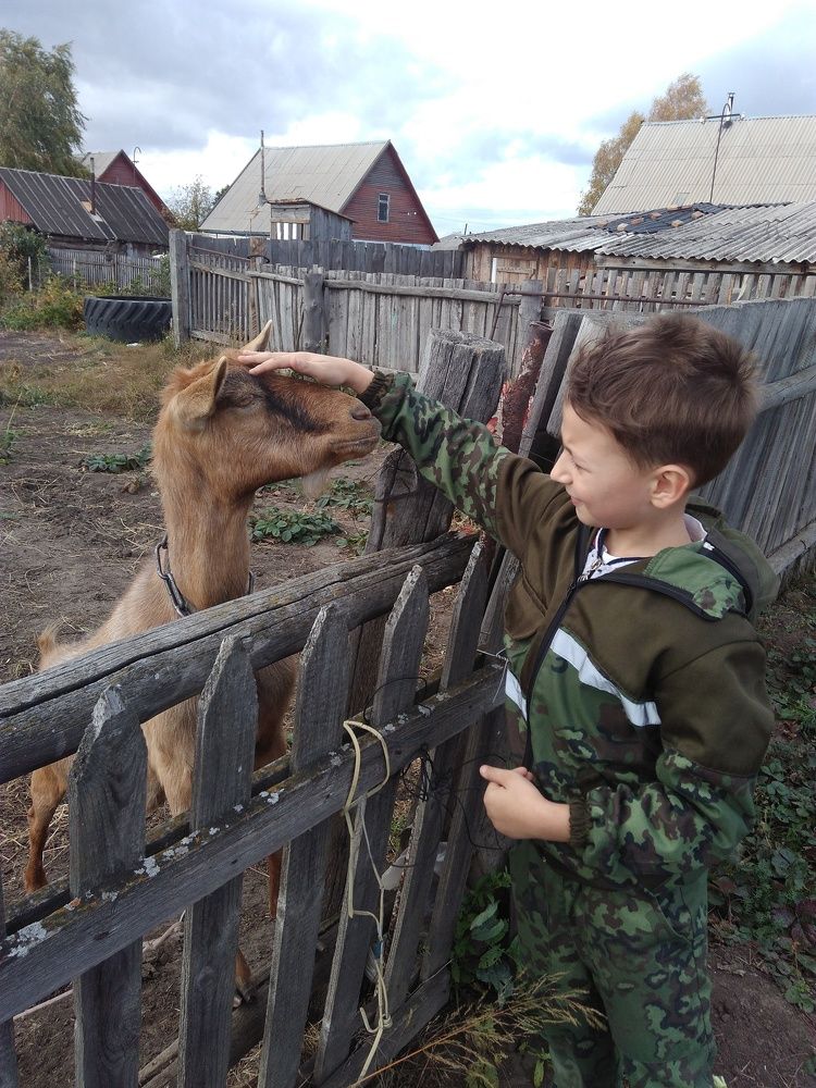Встреча