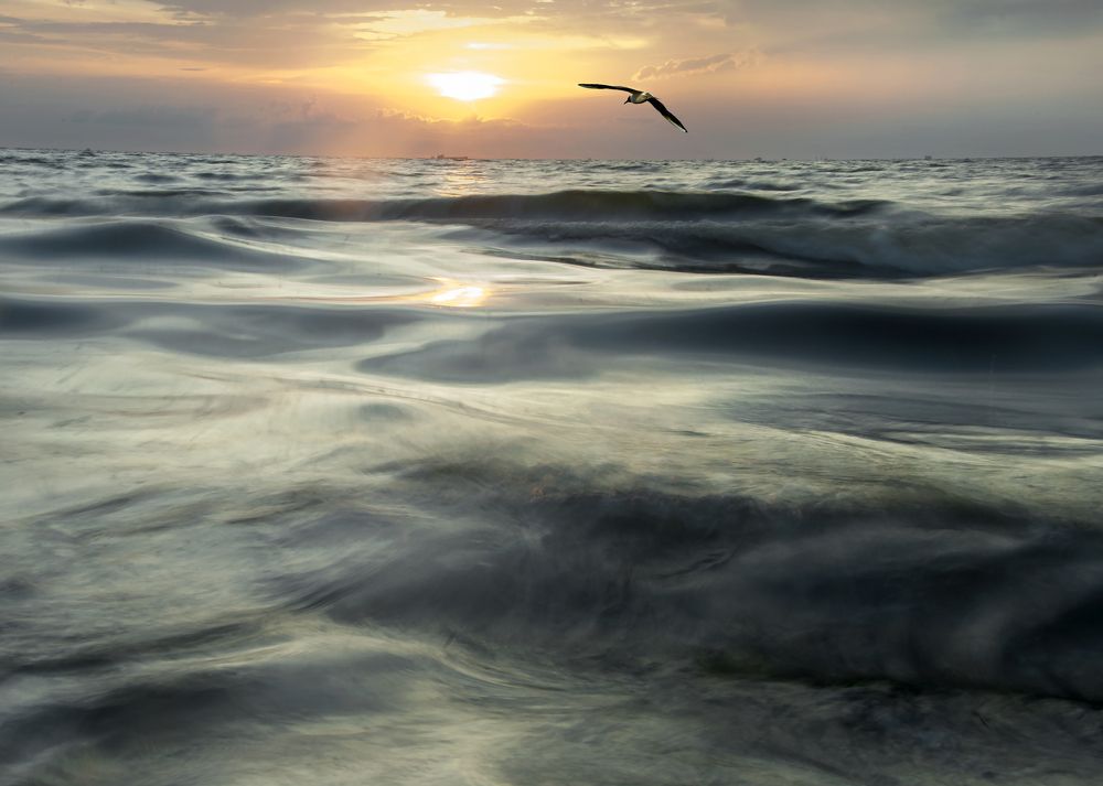 Photograph by Svetlana Retneva