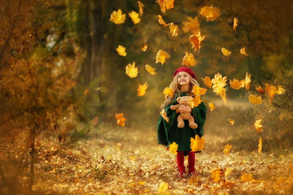 Золотая осень. Листопад