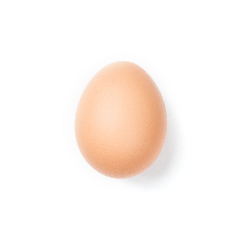 egg