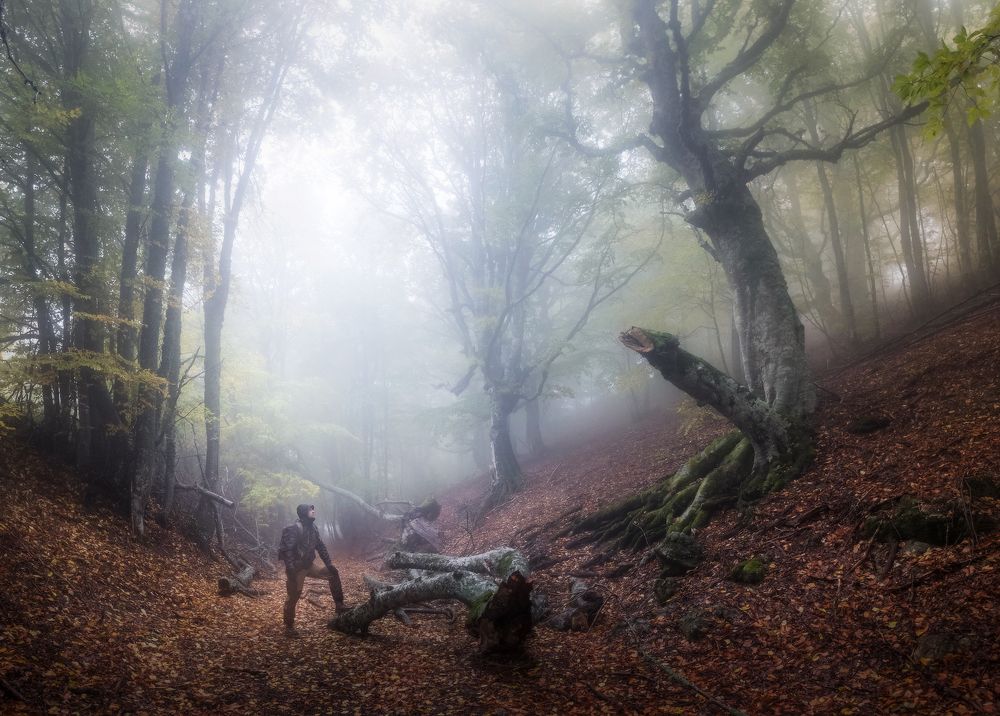 Photograph by Михаил Гапонов