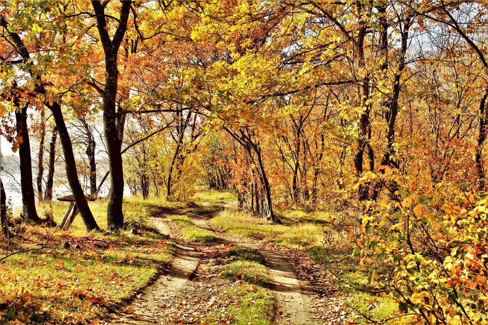 \"Золотая осень\"