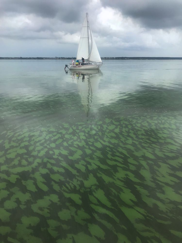 Залив в комуфляже