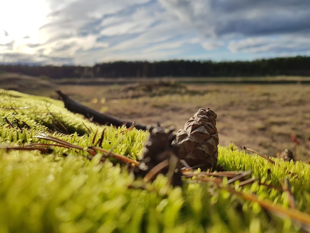 Север Белой Руси