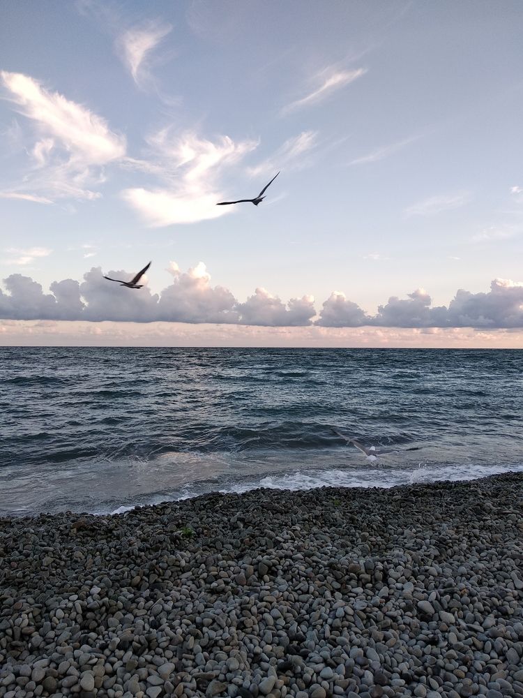 Перед закатом