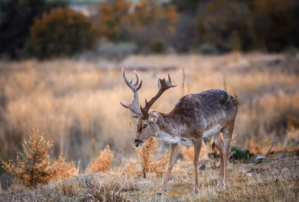 Photograph by Алекс Гейнер