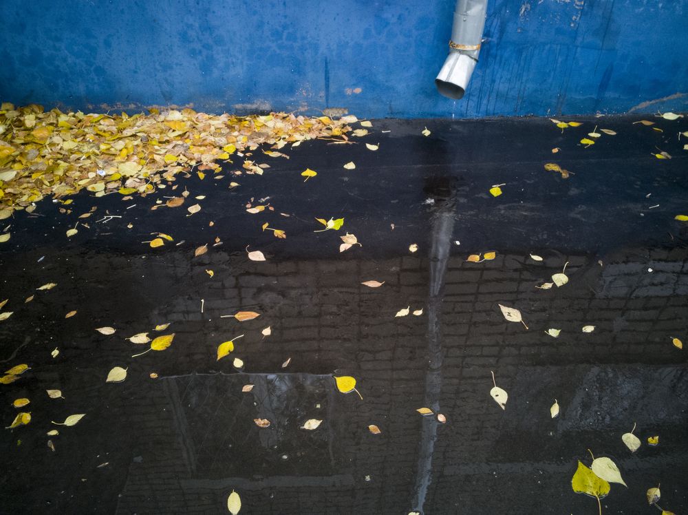 В городе осень