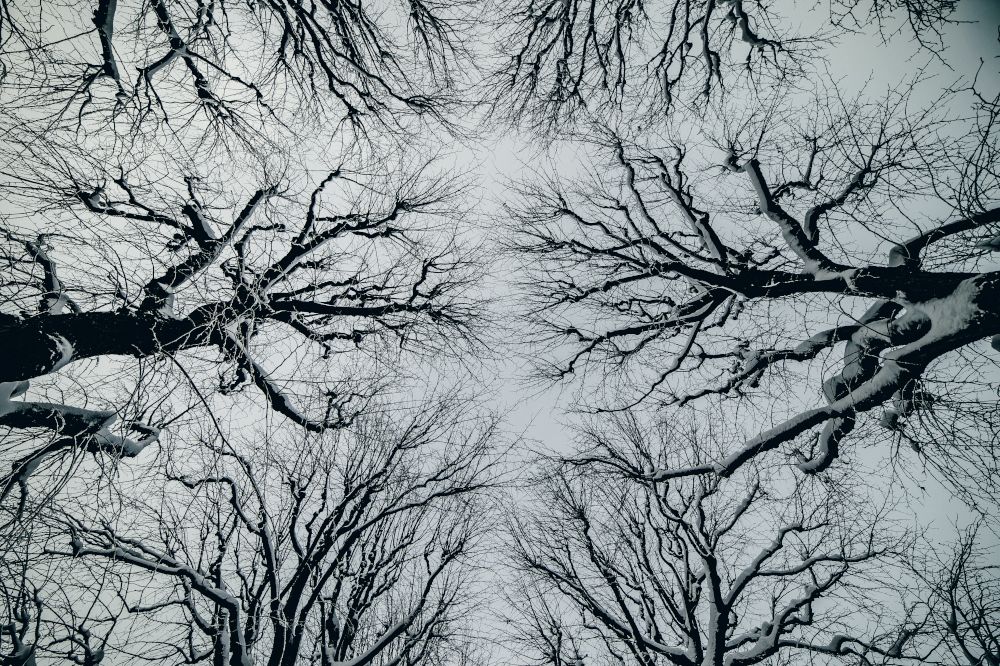 Photograph by Екатерина Корчик