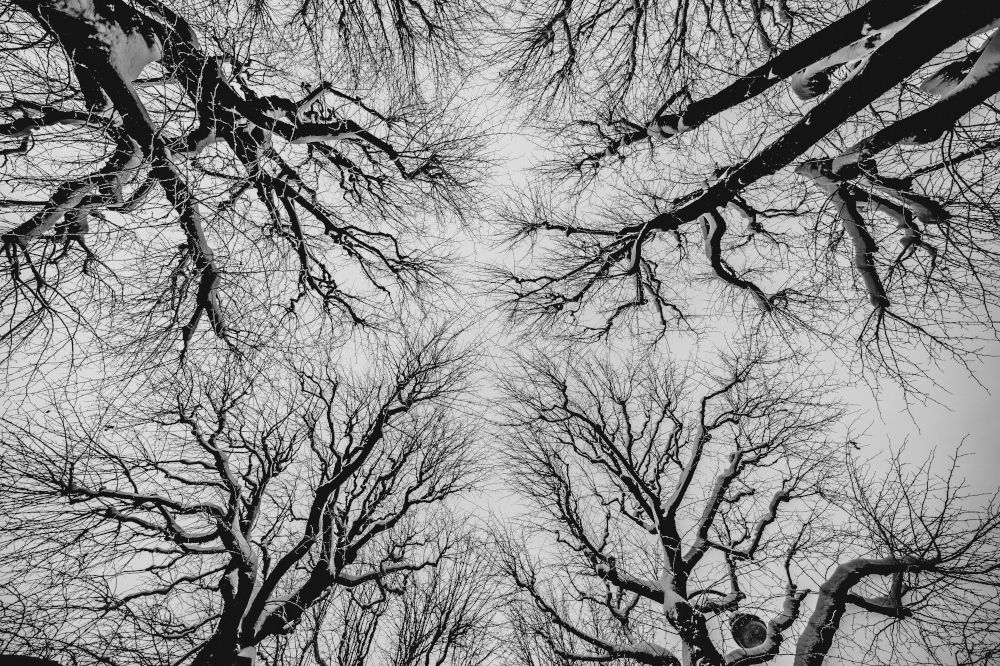 Photograph by Екатерина Корчик