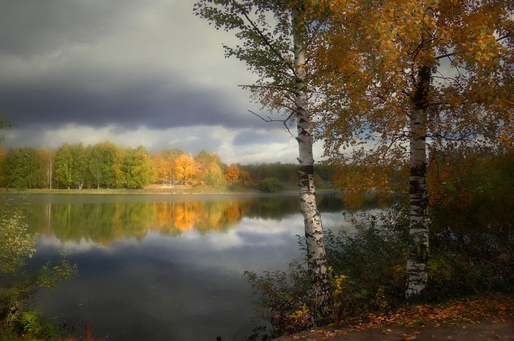 После дождя