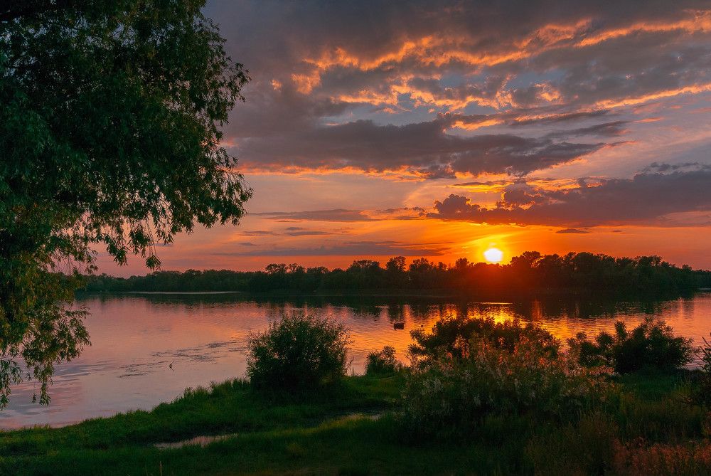 Летний вечер