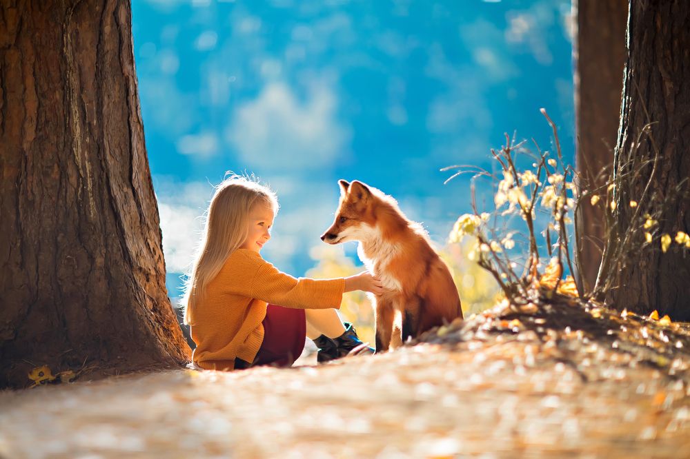 В стране чудес