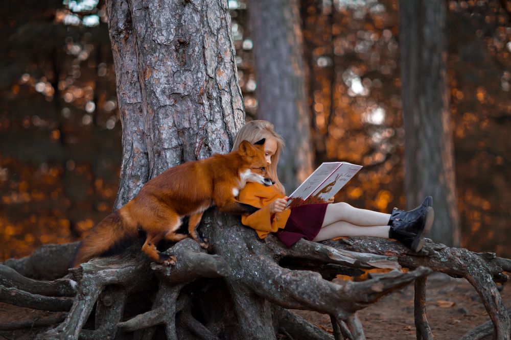 В сране чудес