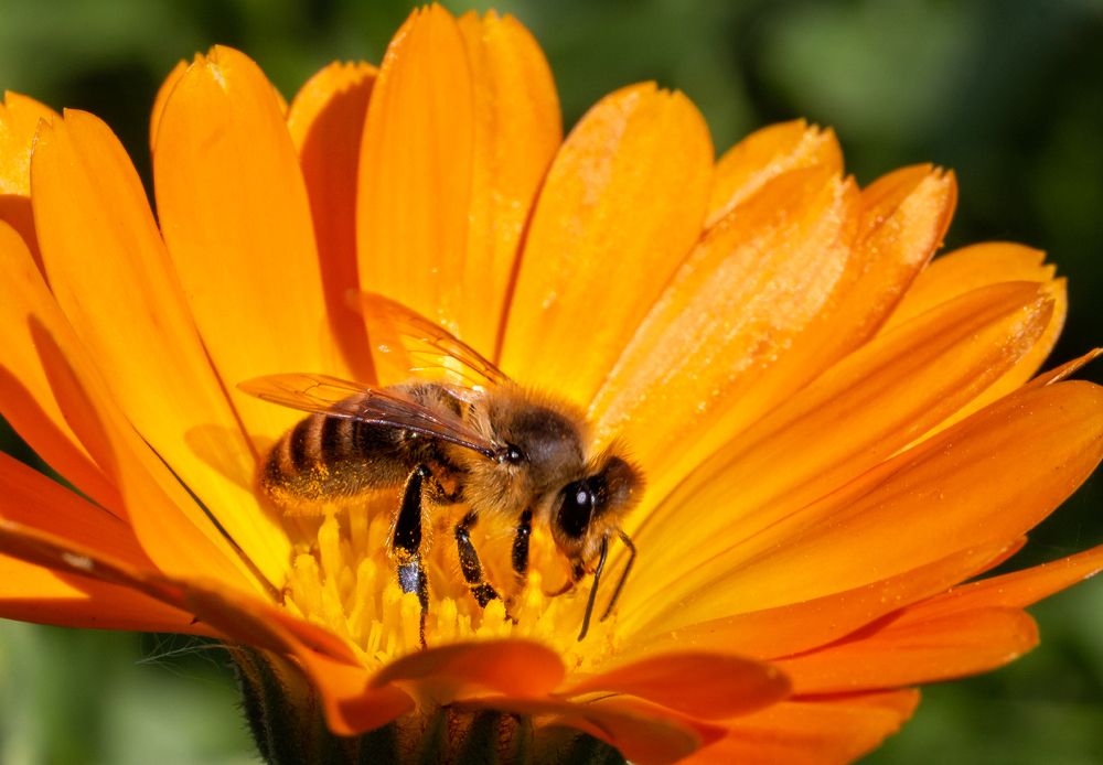 Photograph by Victor Pruhnitskiiy