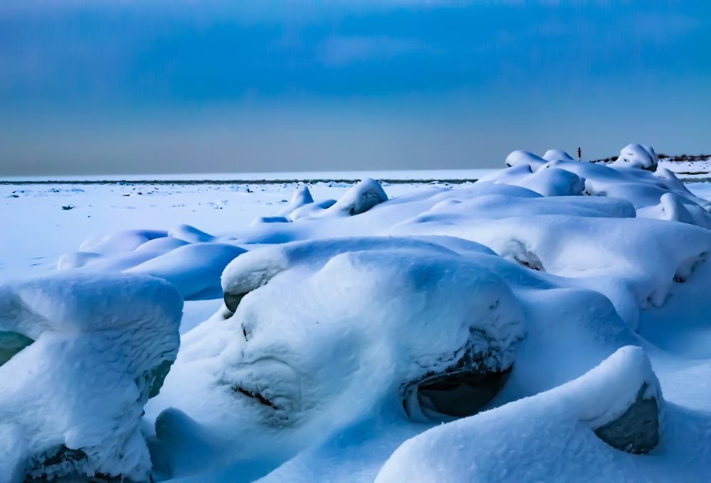 The having a rest alien in ices of the Gulf of Finland